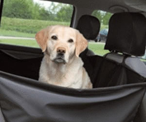 Hunde Autoschondecke Maße: 1,50 × 1,35 m schwarz Hundeschondecke