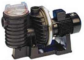Pentair Sta-Rite 5P6R F-3 Standard (1,5cv 22m³/h Tri)