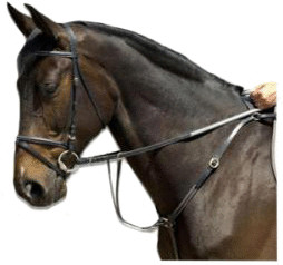 Fouganza Collier de chasse Schooling