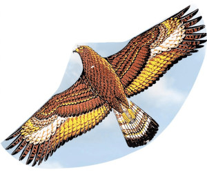 Einleiner  Drachen  Adler   mit Schnur und Haspel   Spw 177 cm   Neu 