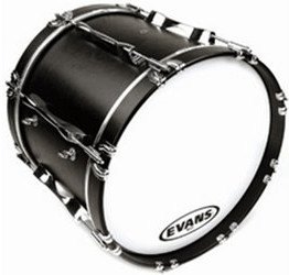Evans MS1 White 24