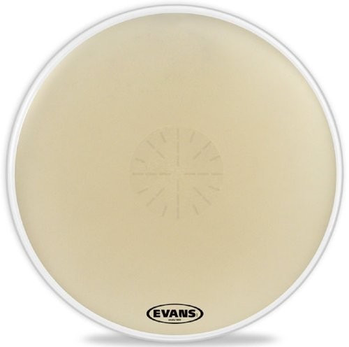 Evans Strata 1400 Reverse Dot Bass 36