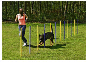 Karlie Agility jeu de piquets de Slalom (100 cm)