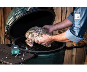 Xl egg hot sale