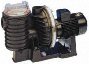 Pentair Sta-Rite 5P6R F-1 Standard (1,5cv 22m³/h Mono)