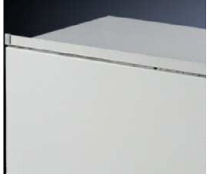 Rittal Staubschutzleiste 1000 mm