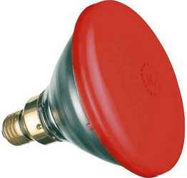 Sylvania PAR38 80W rouge 30 °