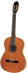 Esteve 4ST Cedar
