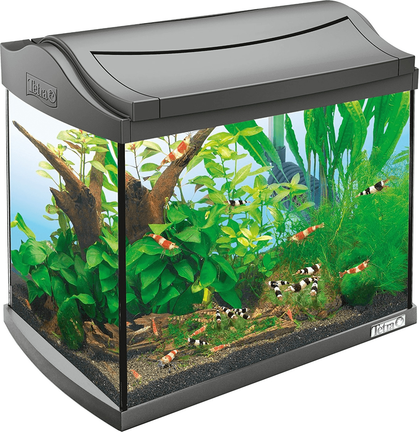 Tetra Kit aquarium complète 20 l AquaArt Shrimps
