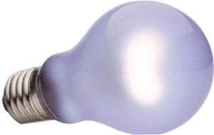 Exo Terra Daytime Heat Lamp A21 100 W (PT2112)