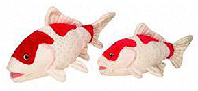 Heinrich Bauer Carpe Koi 40 cm