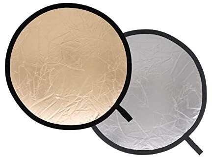 Lastolite LR 2036