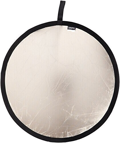Lastolite LR 3036