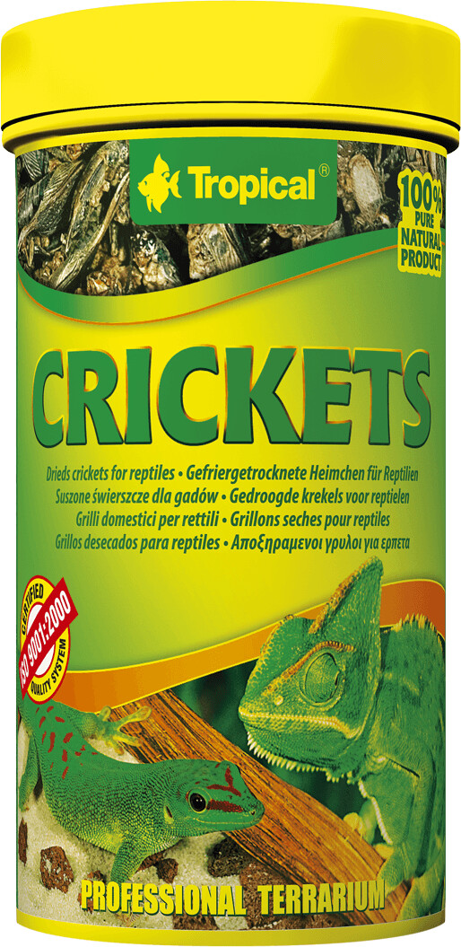 Tropical Crickets 250ml