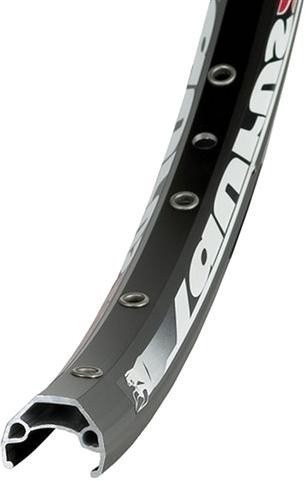 Ryde Taurus 2000