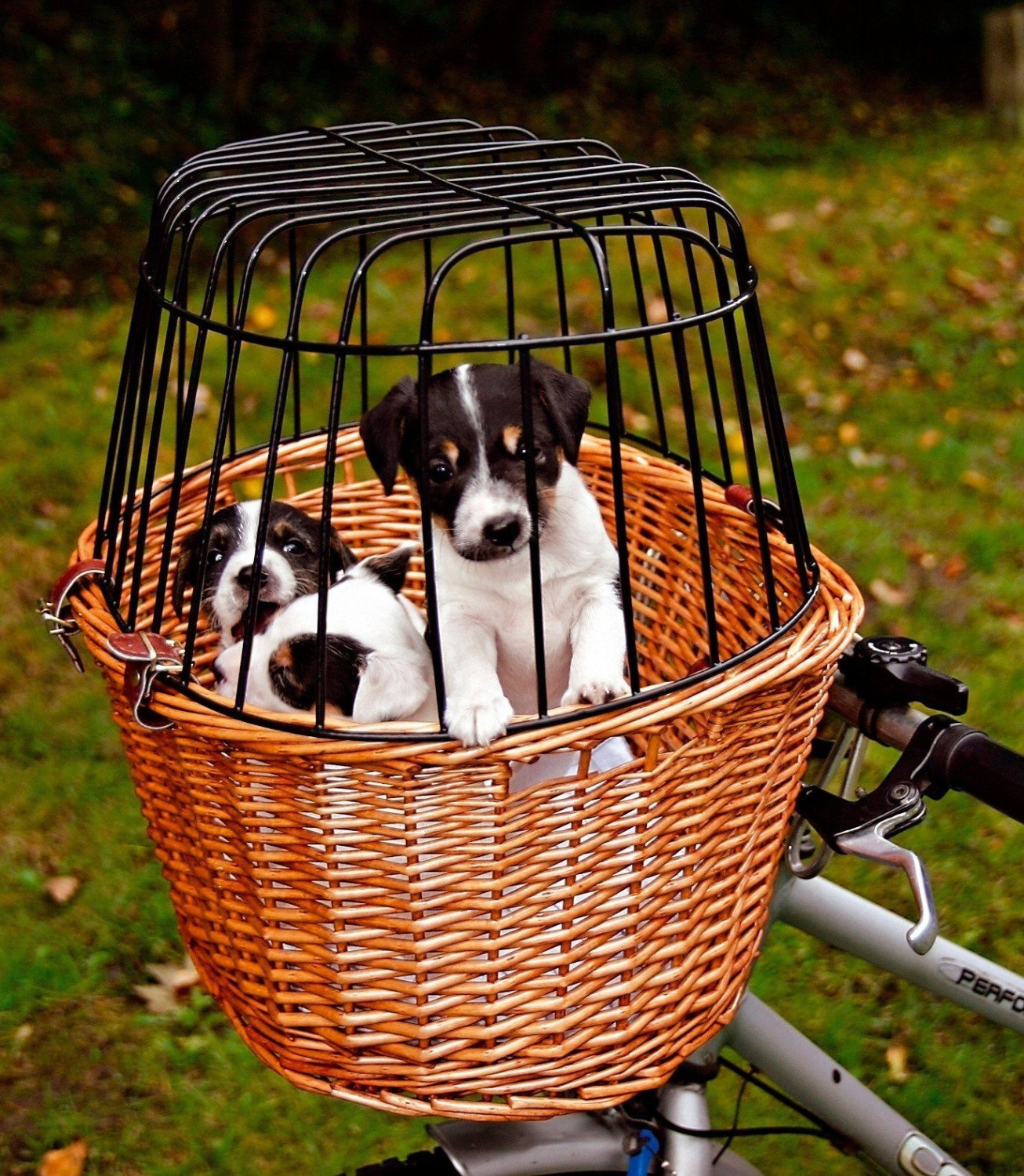 bicicletta con la griglia