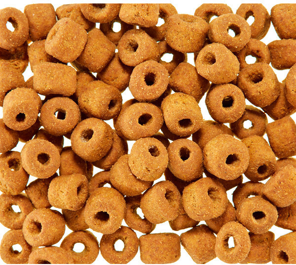 Royal Canin Croquettes pour chien 12kg