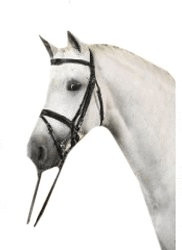 USG United Sportproducts Bridon Raffinesse