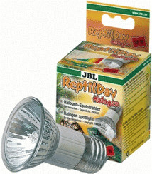 JBL ReptilDay Halogène 50 W (6184200)