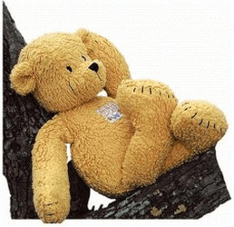Käthe Kruse Ours en peluche maïs 40 cm