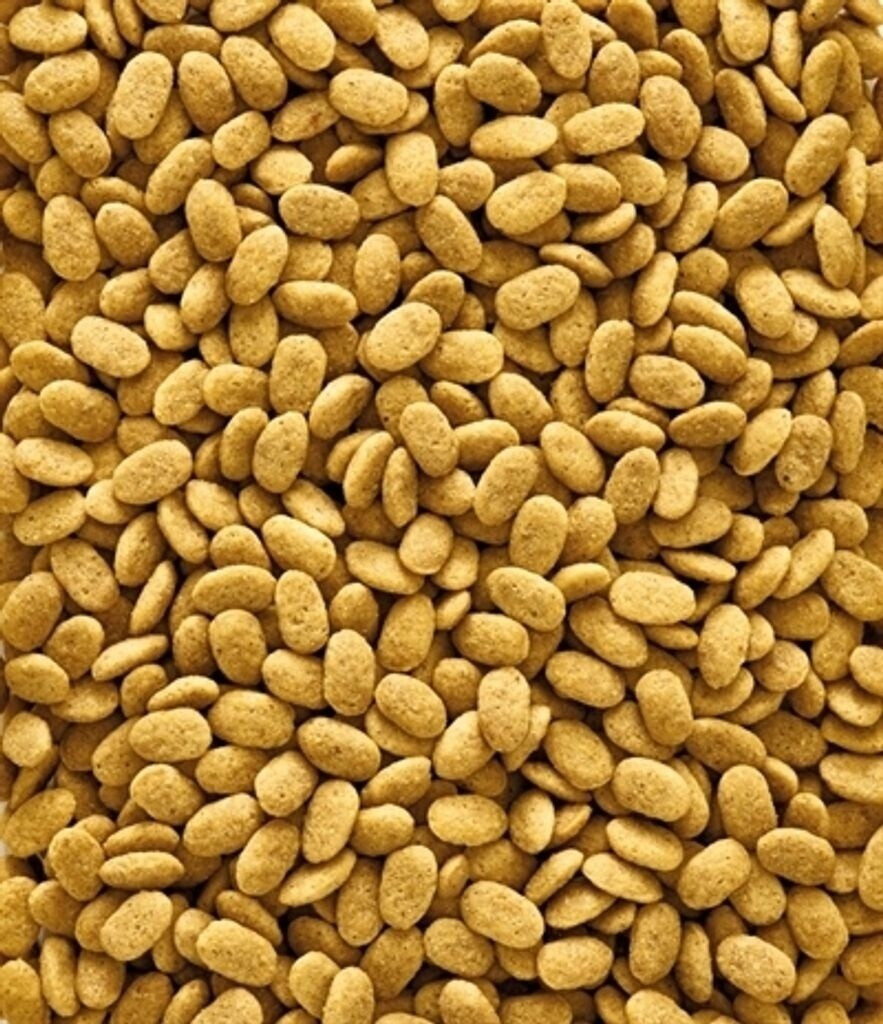Versele-Laga Nutribird P15 Original (10 kg)