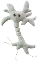 GiantMicrobes Cellule du cerveau