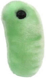 GiantMicrobes Grippe