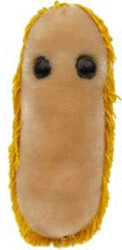 GiantMicrobes Mal de ventre