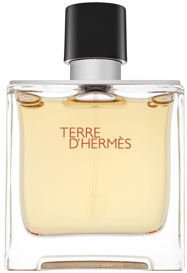 Photos - Men's Fragrance Hermes Hermès Paris Hermès Terre d'Hermès Eau de Parfum  (75ml)