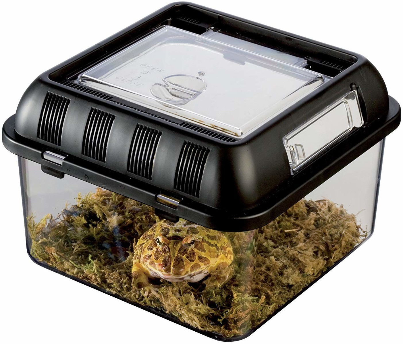 Exo Terra Breeding Box S 20,5 x 20,5 x 14 cm (PT2270)