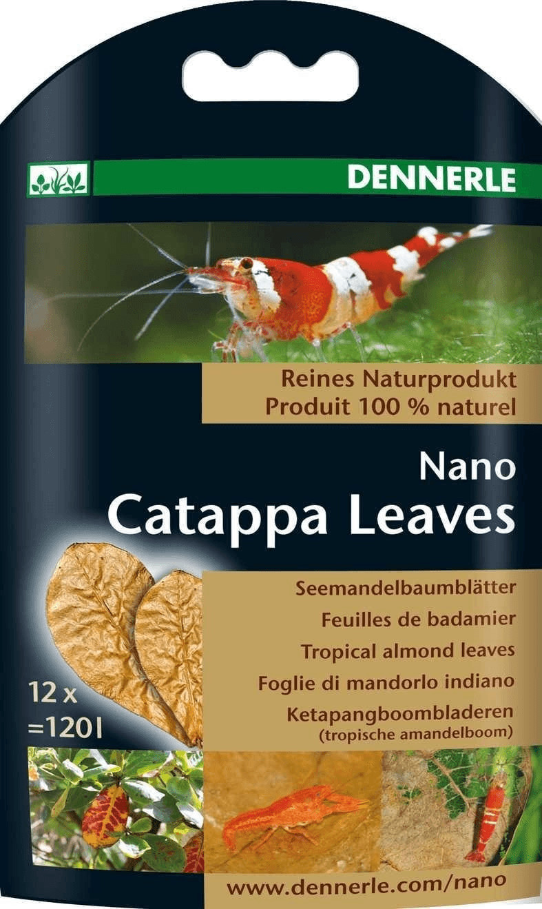 Dennerle Nano Catappa Leaves 12 feuilles