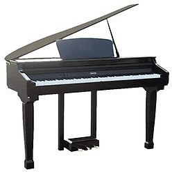 Delson Adagio 8891