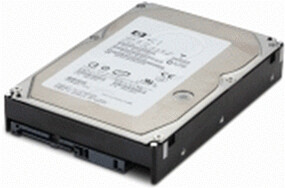 HPE NHP Enterprise SAS 300 Go (516824-B21)