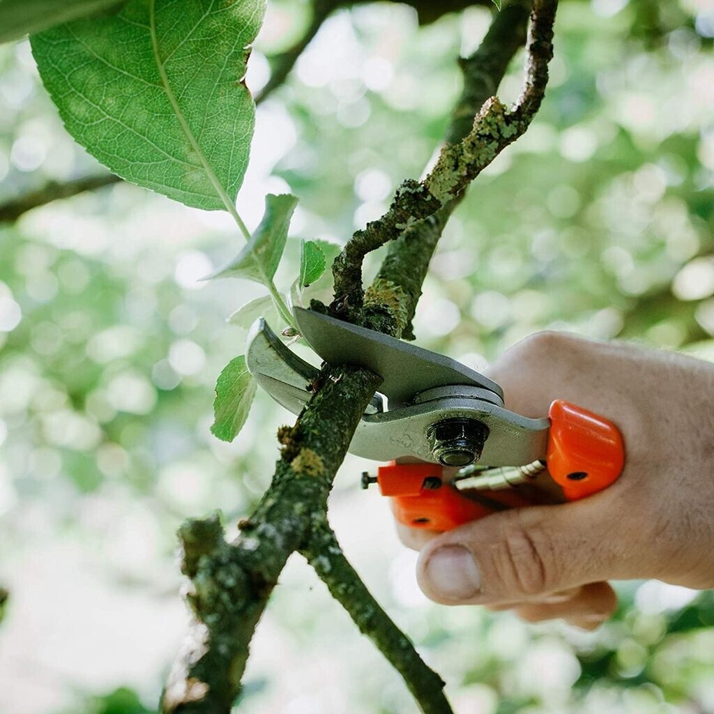 Original Original Löwe 8104 - alternate view