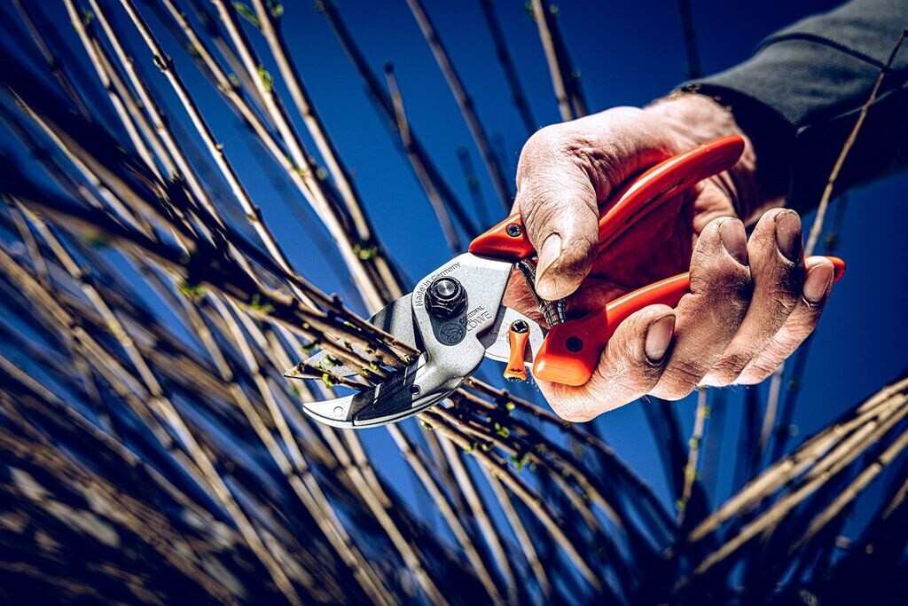 Original Original Löwe 8104 - view 6