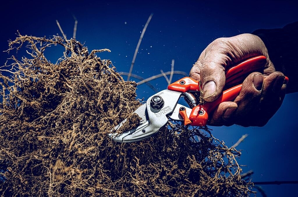 Original Original Löwe 8104 - view 7