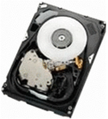HGST Ultrastar 15K600 FC 300Go
