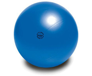 Togu Powerball Premium ABS 55 cm