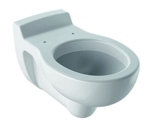 Geberit Kind Baby Tiefspul Wc Kind Wandhangend 201700 Ab 148 60 Preisvergleich Bei Idealo De