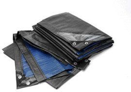 RainExo RX250-3x4