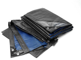RainExo RX250-2x3