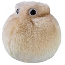 GiantMicrobes Cellule Adipeuse