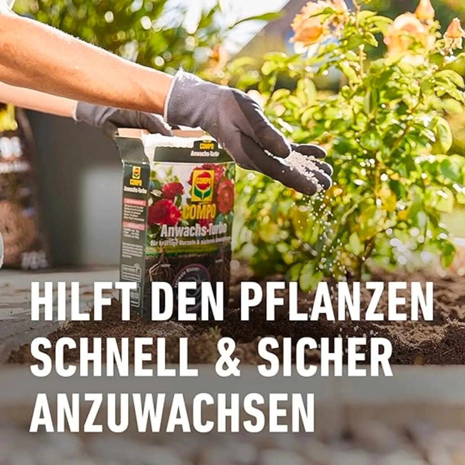 COMPO Agrosil Wurzel Turbo 700 g ab 9.08  | Vergleiche 12 Angebote auf  idealo.de