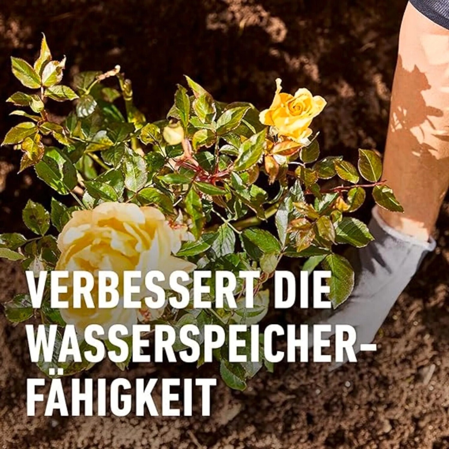japanischer ahorn knstlich Japanischer Ahorn Phnix - Rosa - 70cm