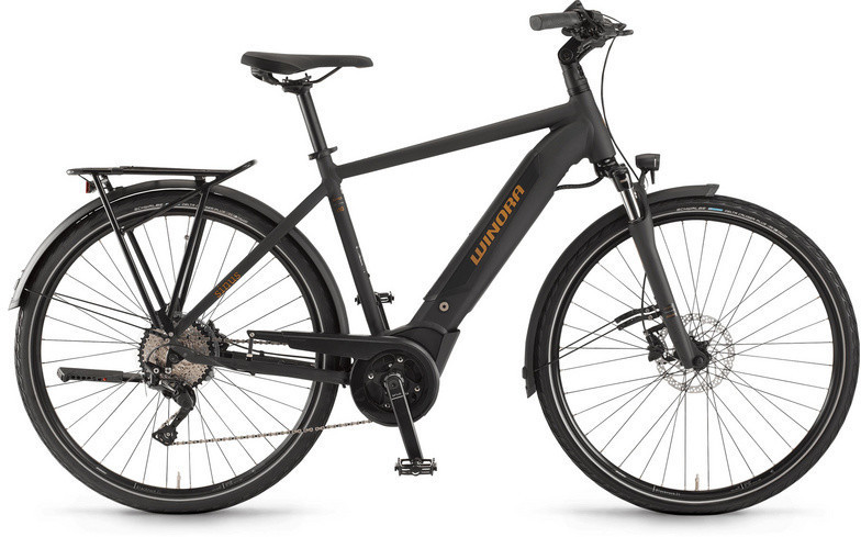 Winora Sinus i10 (2020)