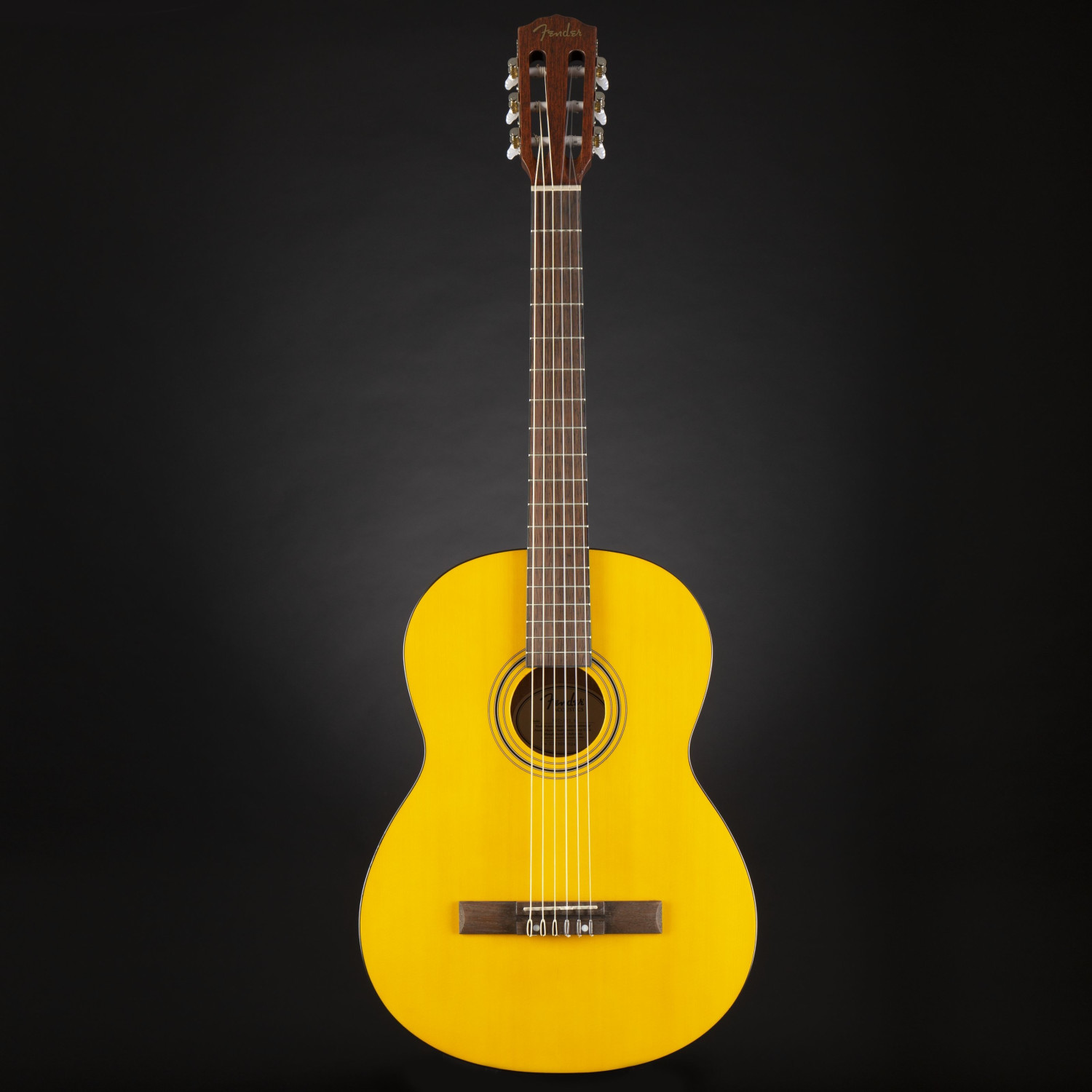 FENDER ESC105 - Guitare Classique 4/4 Avec housse