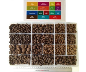 different types of chow chow