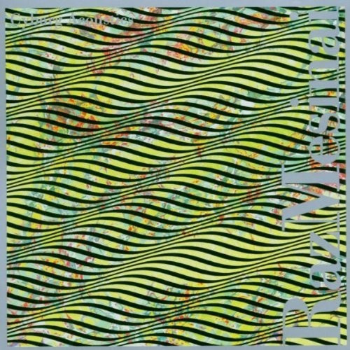 Raz Mesinai - Cyborg Acoustics (CD)
