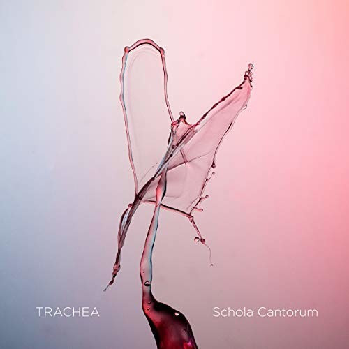 Dahl/Schola Cantorum/Aagre/Odde/+ - Trachea (Blu-ray Audio)