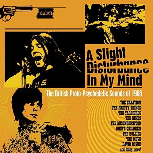 A Slight Disturbance In.. (CD)